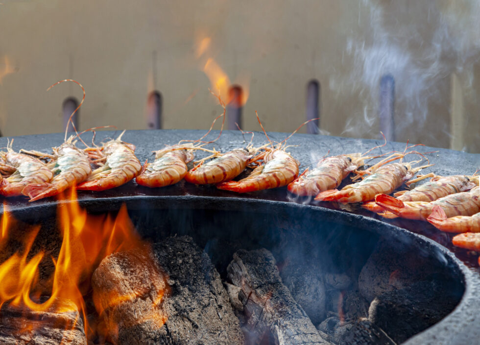 Bålgrill med stegeplade